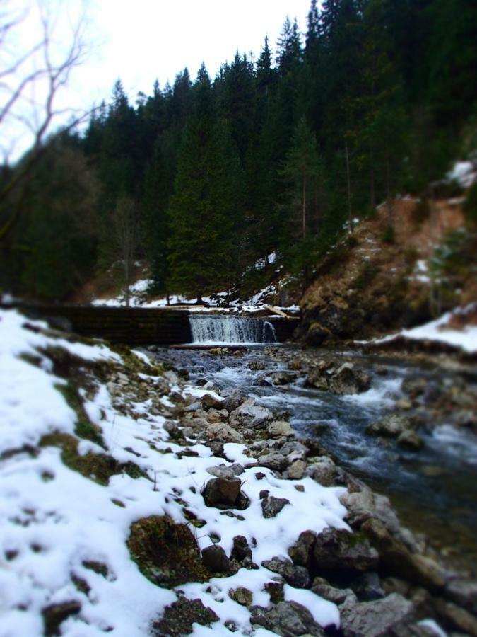 Rekreacny Dom Sablatura Villa Bölényfalu Kültér fotó